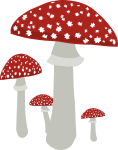 Mushrooms 4